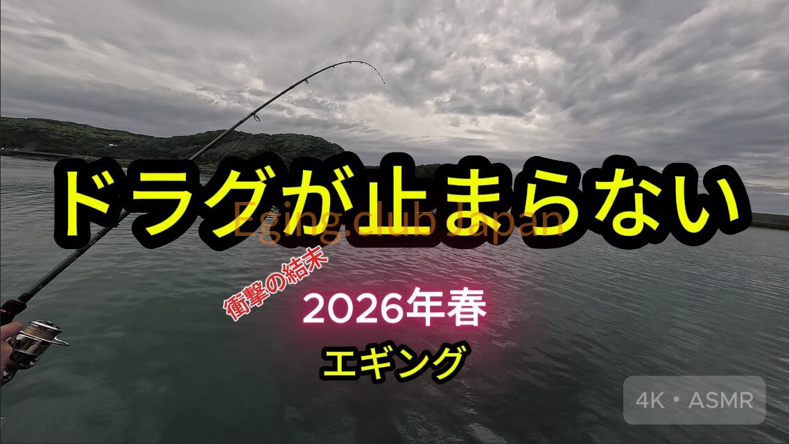2026年春、長崎県壱岐の離島エギング。ロッドが大きくしなりドラグが鳴り止まないヒットシーンと4K・ASMR動画のサムネイル画像。